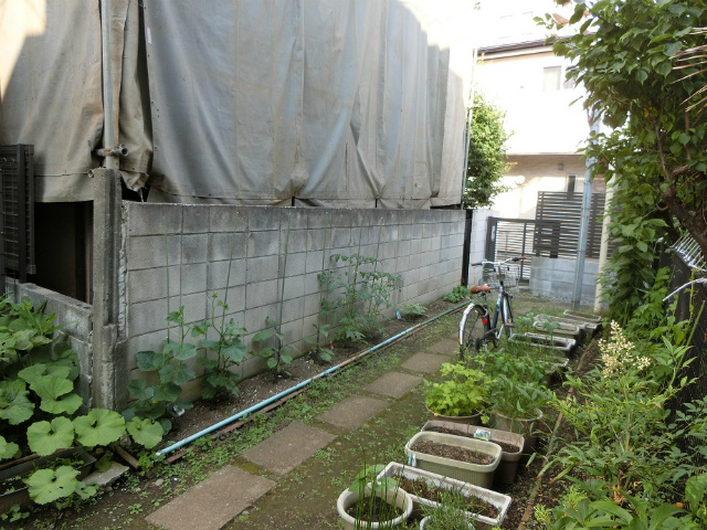 現地（古屋あり）西側より