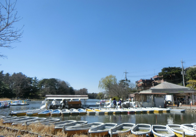 都立石神井公園