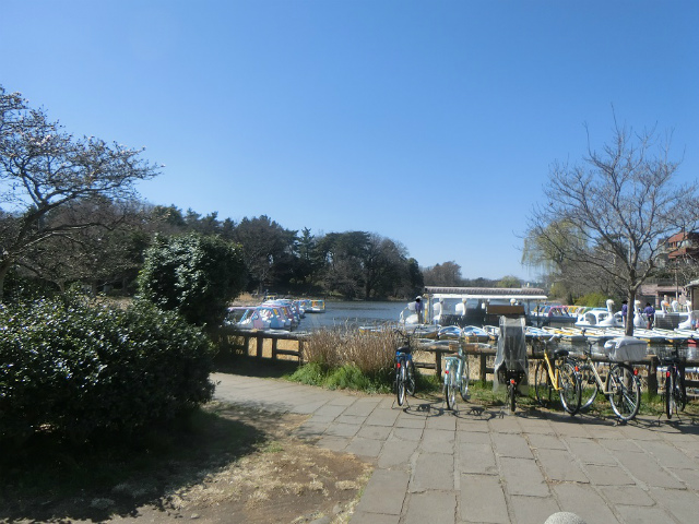 都立石神井公園